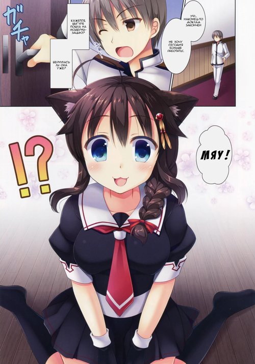 Neko-ka Kaishuu o Okonaimasu ka?